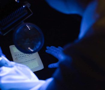 Document gràfic