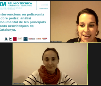 XVI Reunió Tècnica 2020