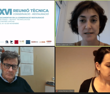 XVI Reunió Tècnica 2020