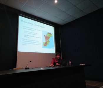 Xerrada "La conservación preventiva de yacimiento arqueológicos" al MAC